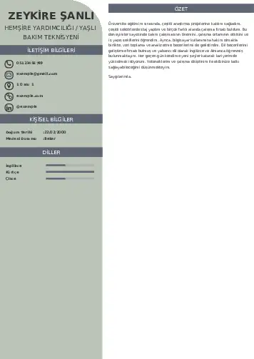 Hasta ve Yaşlı Bakım Elemanı Cv Örnekleri cv indir